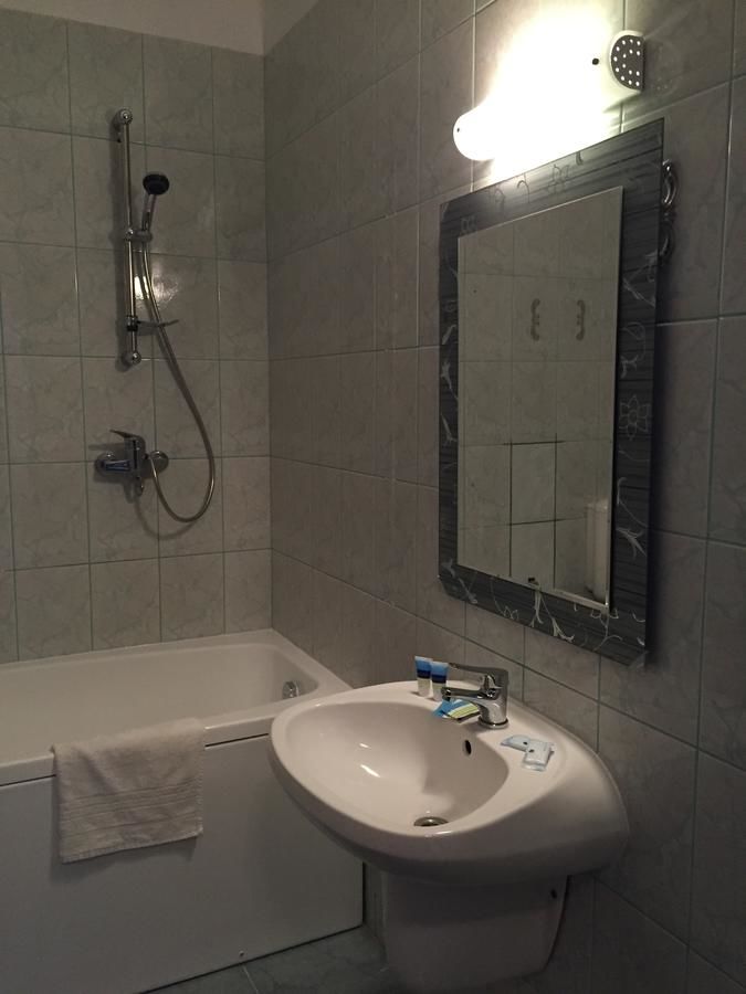 Отель Arta Hotel Тимишоара