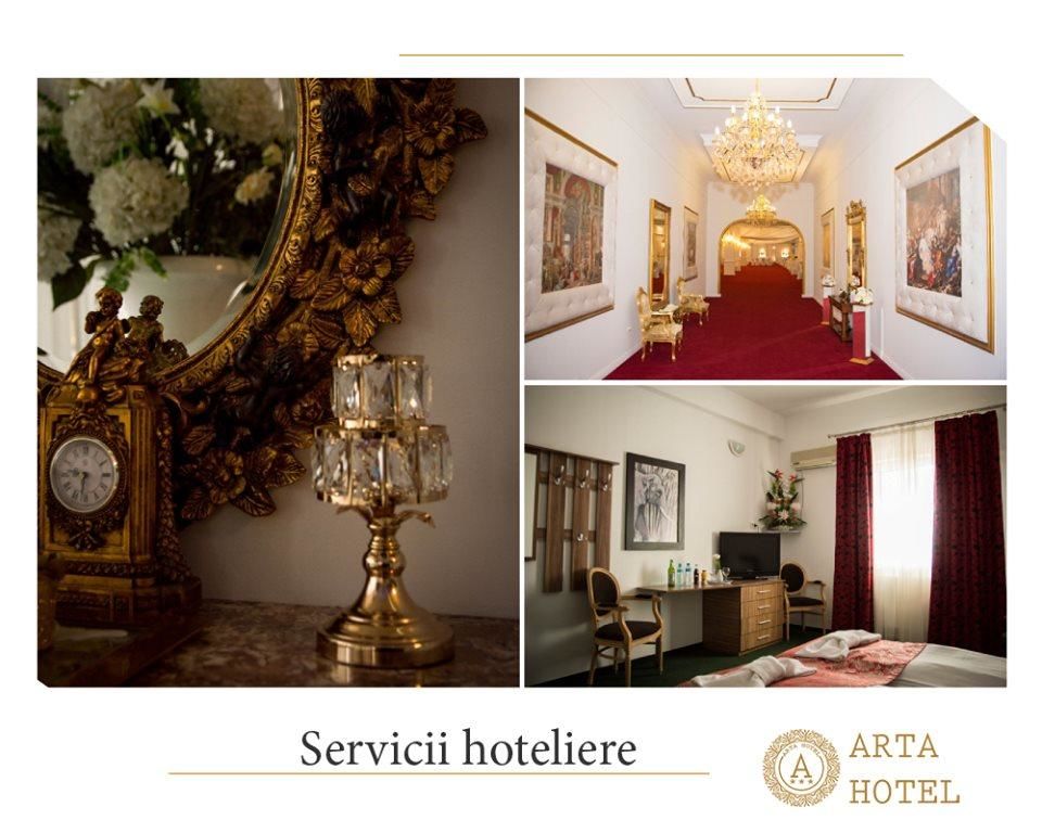 Отель Arta Hotel Тимишоара-38