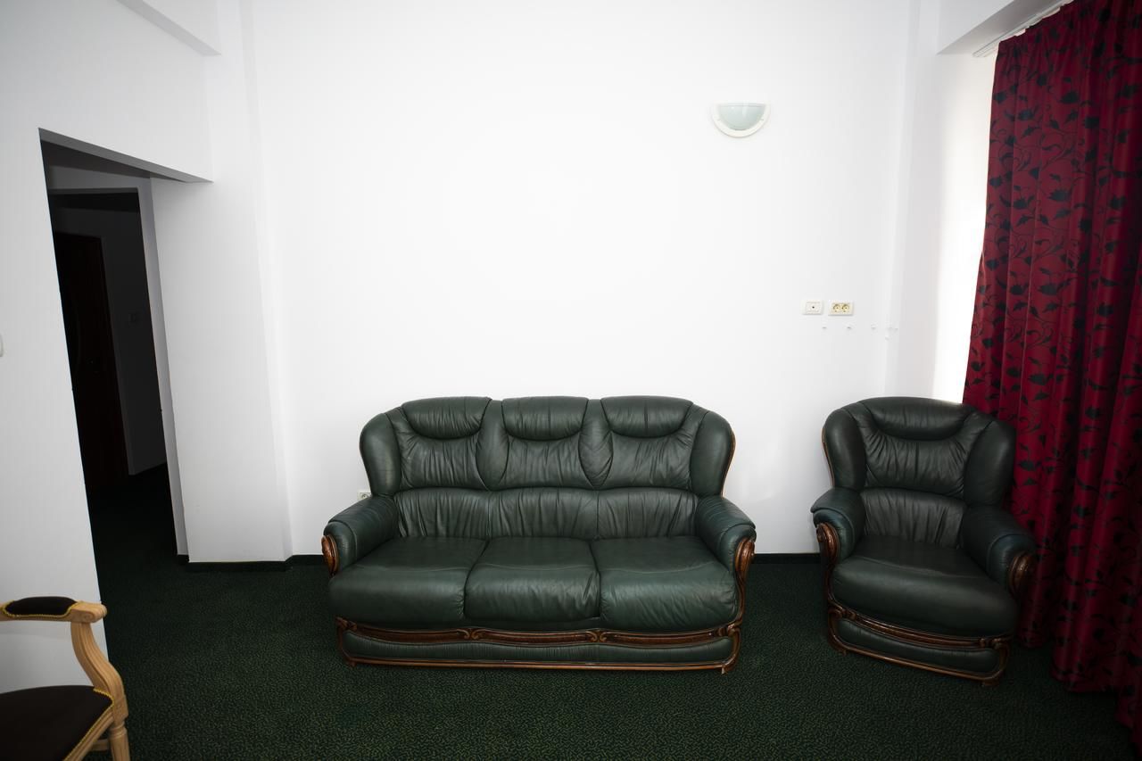Отель Arta Hotel Тимишоара-43