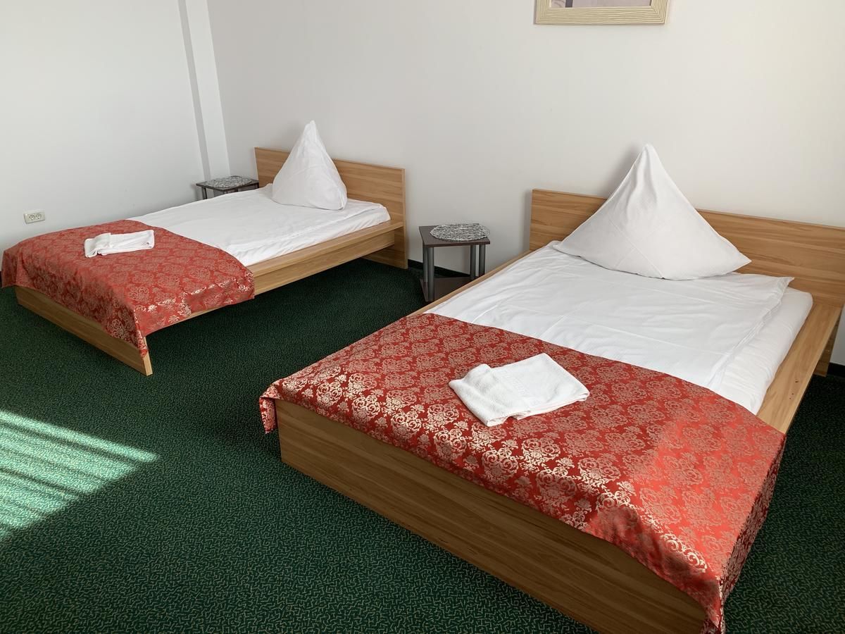 Отель Arta Hotel Тимишоара-11