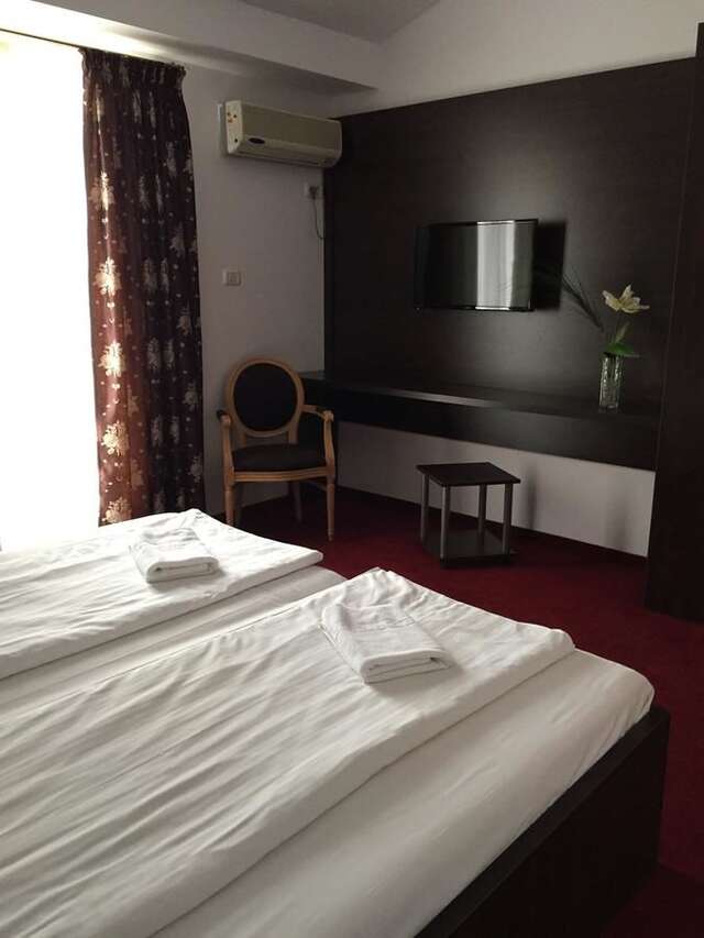 Отель Arta Hotel Тимишоара-16
