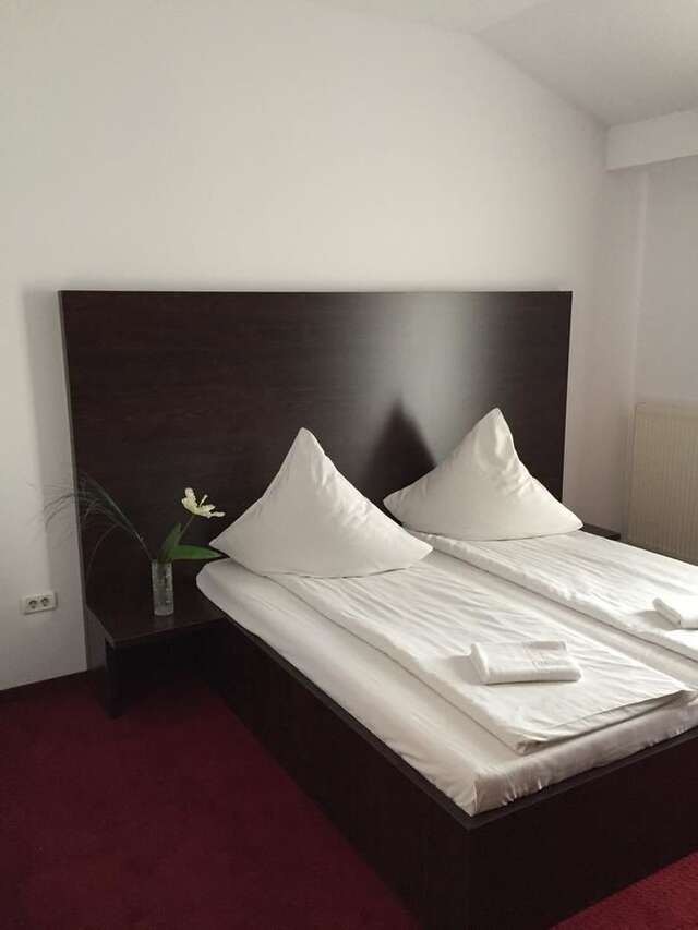 Отель Arta Hotel Тимишоара-18