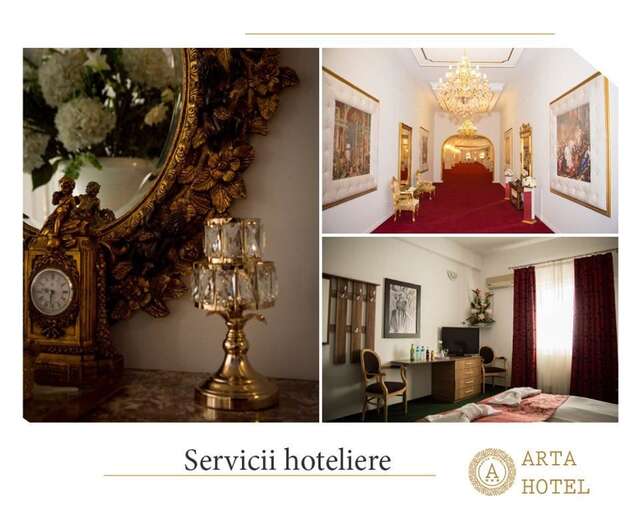 Отель Arta Hotel Тимишоара-37