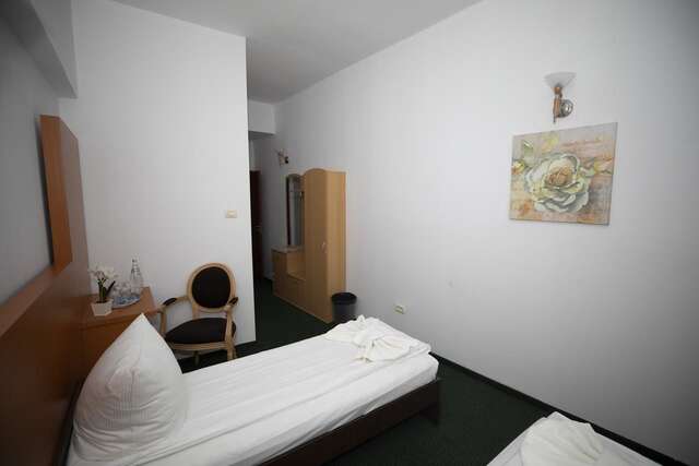 Отель Arta Hotel Тимишоара-41