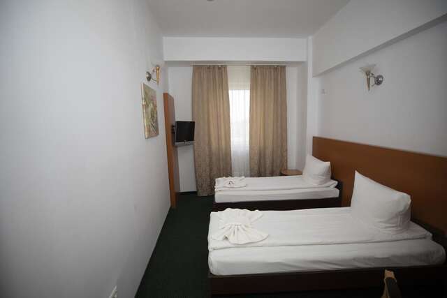 Отель Arta Hotel Тимишоара-44