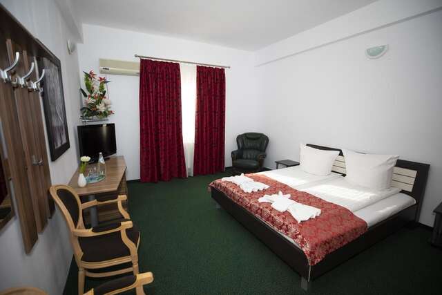Отель Arta Hotel Тимишоара-46