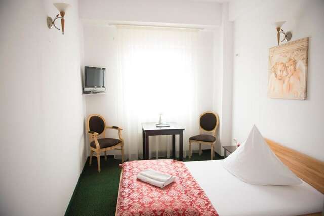Отель Arta Hotel Тимишоара-50