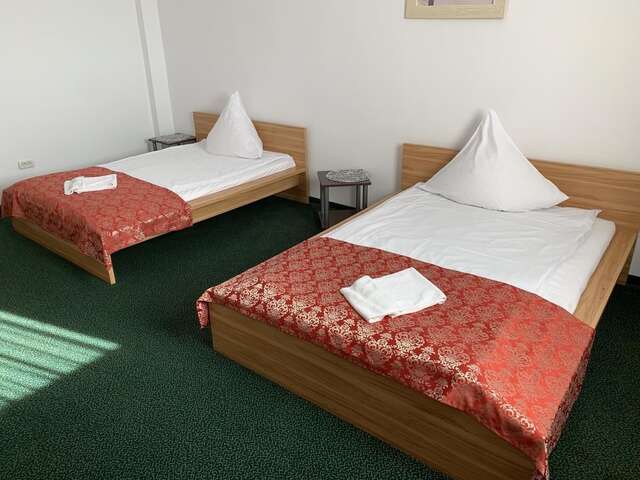 Отель Arta Hotel Тимишоара-10